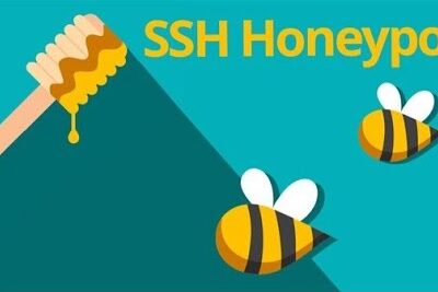 Honeypots en la cibersuguridad